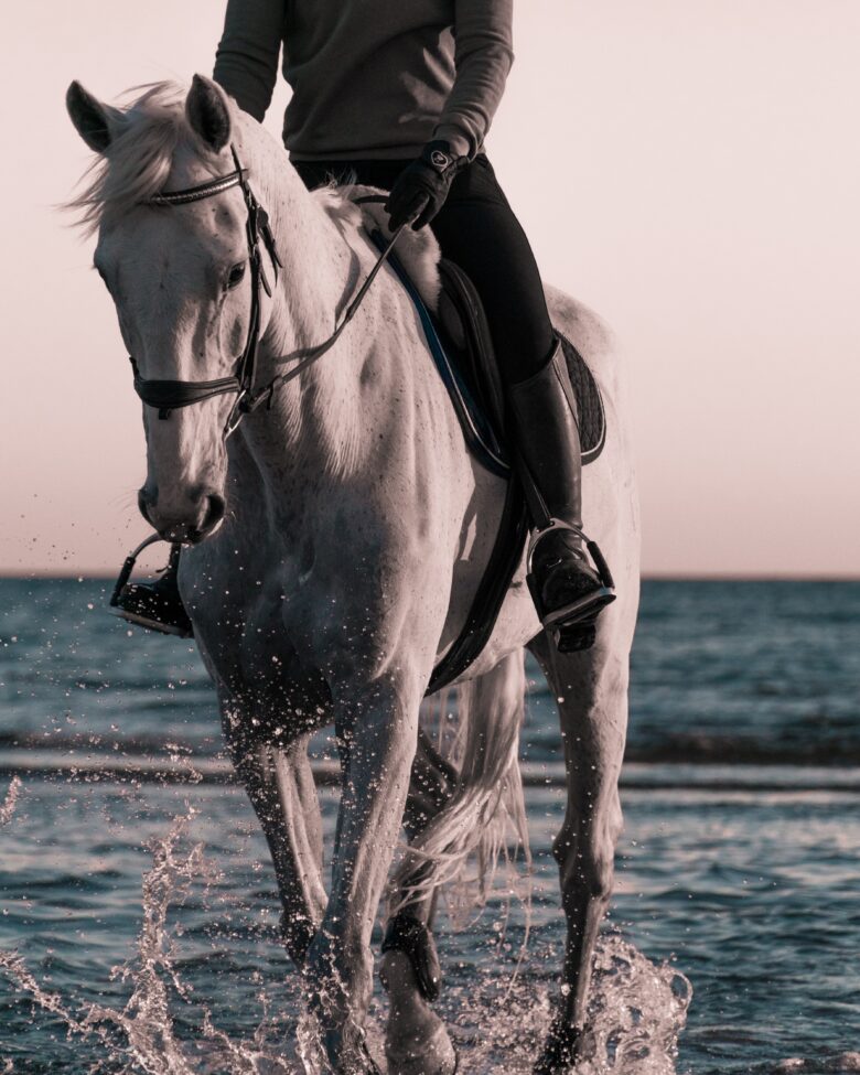 Bilden visar en ryttare med en häst som har tyglar. Tyglarna är en viktig del i kommunikationen mellan ryttare och häst.